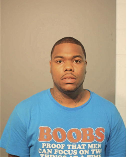 BRYCE A JOHNSON, Cook County, Illinois