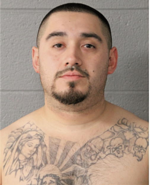 CARLOS A CHAVEZ, Cook County, Illinois