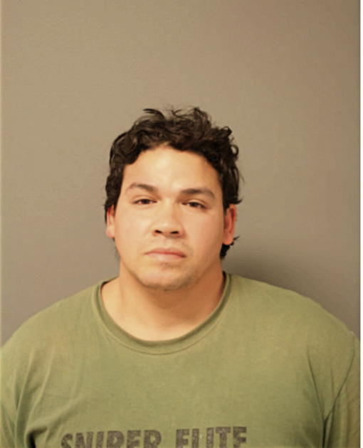 LUIS G PORTALATIN, Cook County, Illinois