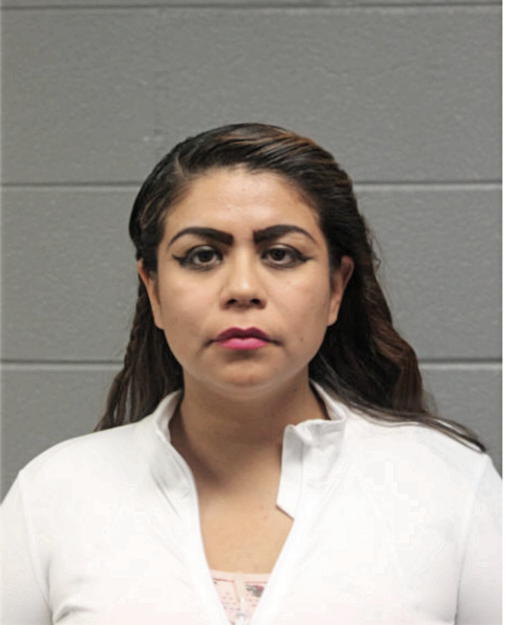 BRENDA M SANTOS, Cook County, Illinois