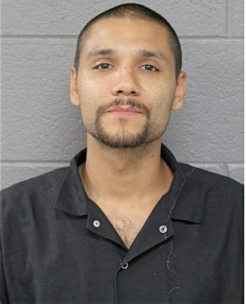 NESTOR A LOPEZ, Cook County, Illinois