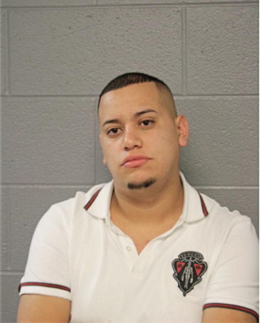 JOSE A OCHOA, Cook County, Illinois