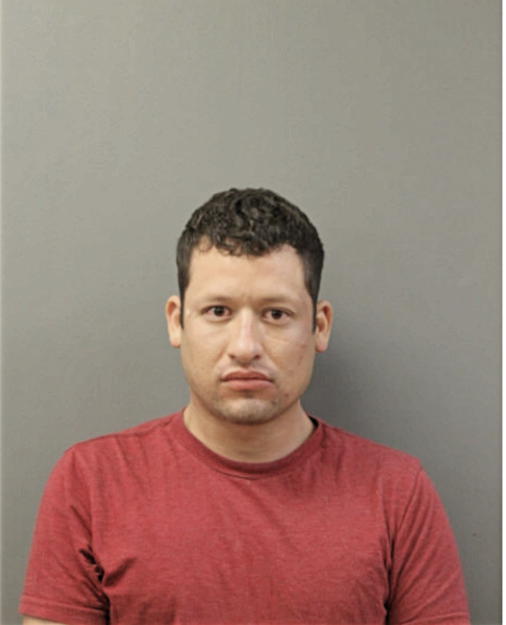 OSCAR HERNANDEZ, Cook County, Illinois