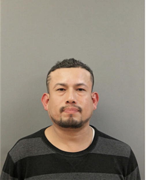 JAVIER NAVA-ROMAN, Cook County, Illinois