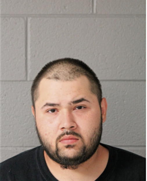 NICHOLAS L SERRANO, Cook County, Illinois