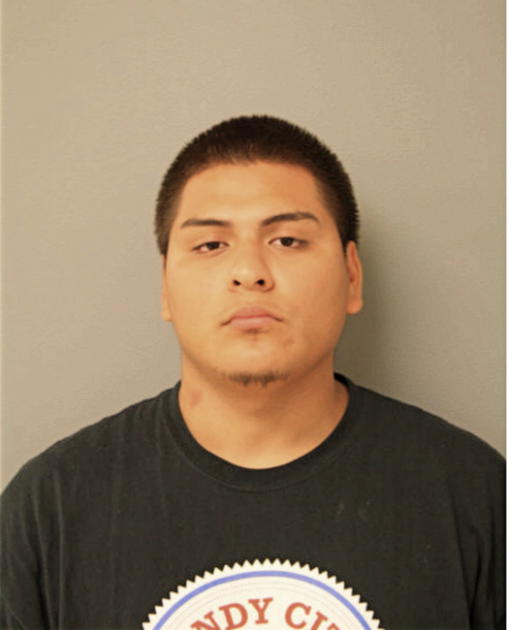 GIOVANI A HERNANDEZ, Cook County, Illinois