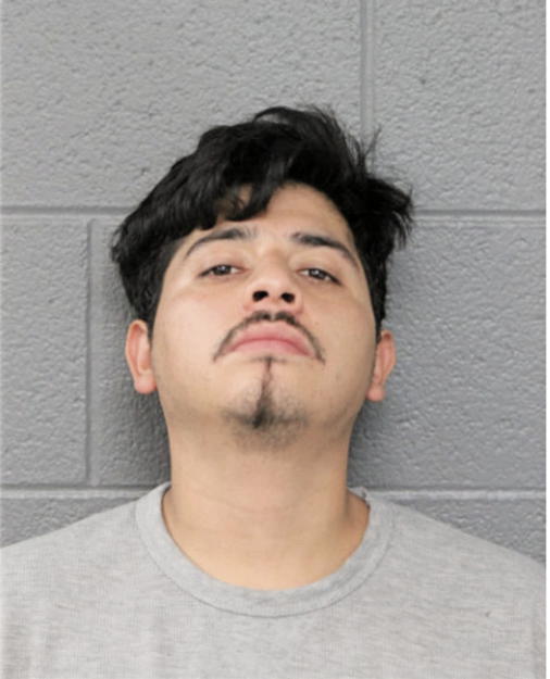 MISAEL GUZMAN, Cook County, Illinois