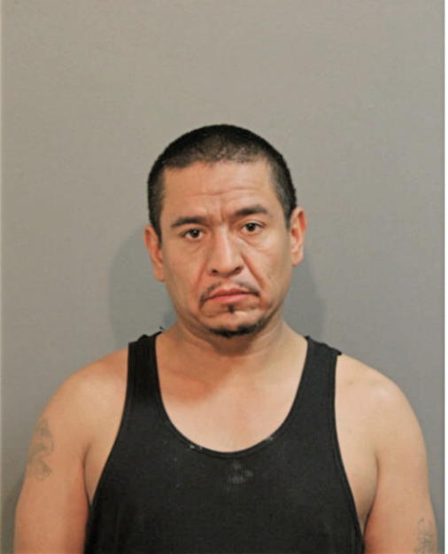 RODOLFO MEDINA, Cook County, Illinois