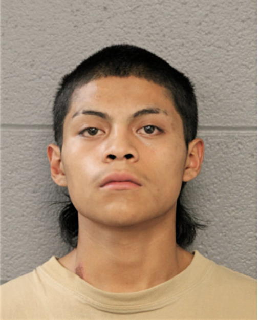 JULIO FERNANDEZ-PENA, Cook County, Illinois