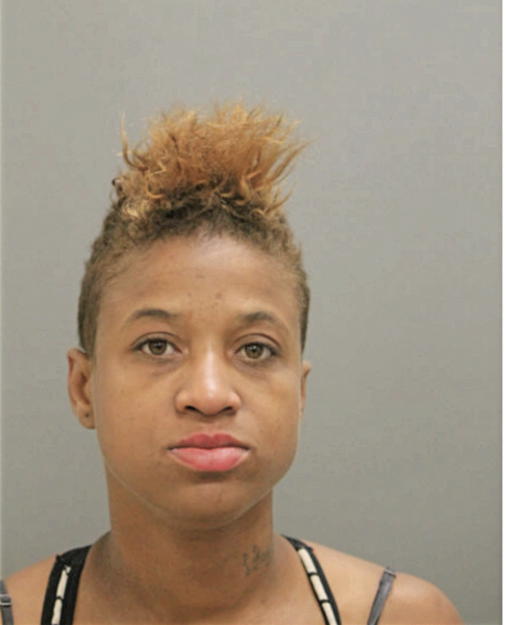 BRITTANY T GREER, Cook County, Illinois