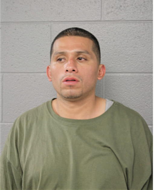 LUIS TORRES, Cook County, Illinois