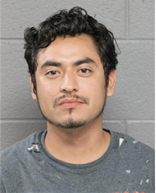 MARIO GONZALEZ-GUZMAN, Cook County, Illinois