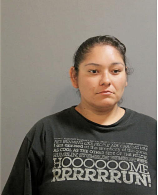 LORAN C GUZMAN, Cook County, Illinois