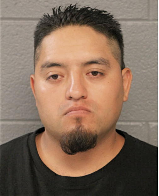 FAUSTINO TEXCA, Cook County, Illinois