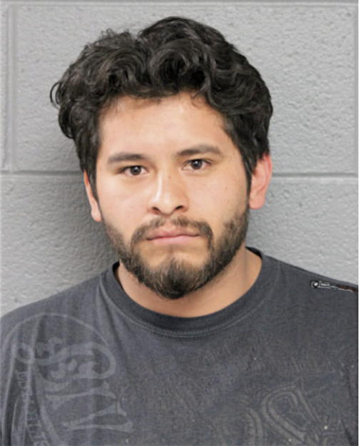 JOSE A ESTRADA, Cook County, Illinois