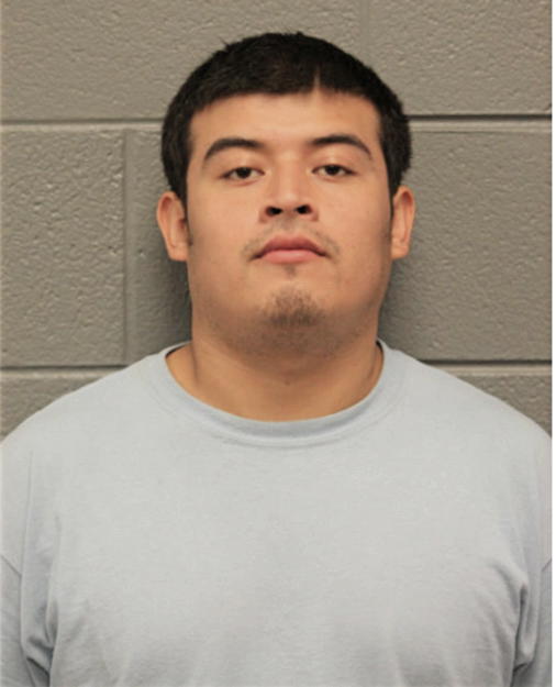 ADALID FUENTES, Cook County, Illinois
