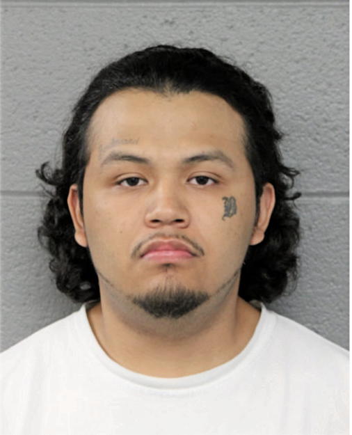 OMAR FLORES, Cook County, Illinois