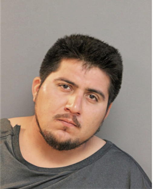 ISMAEL FLORES-ABARCA, Cook County, Illinois
