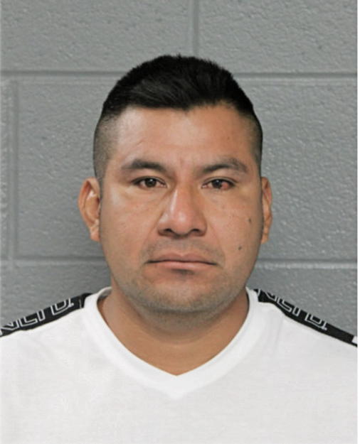 LUIS RAMIREZ-FORTINO, Cook County, Illinois