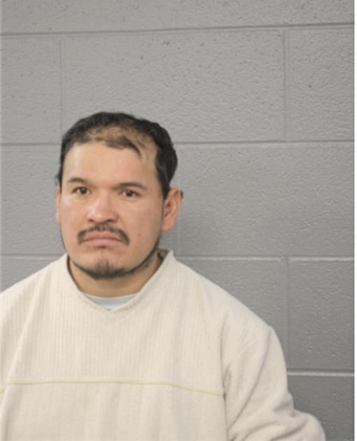 RICARDO MENDOZA, Cook County, Illinois