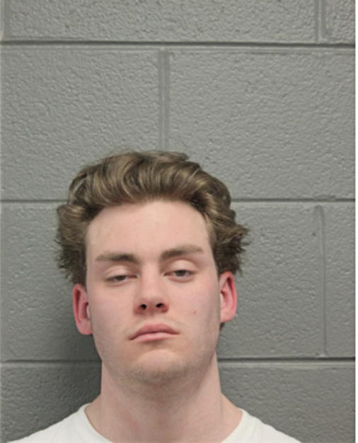 BRENDAN J GALLAGHER, Cook County, Illinois