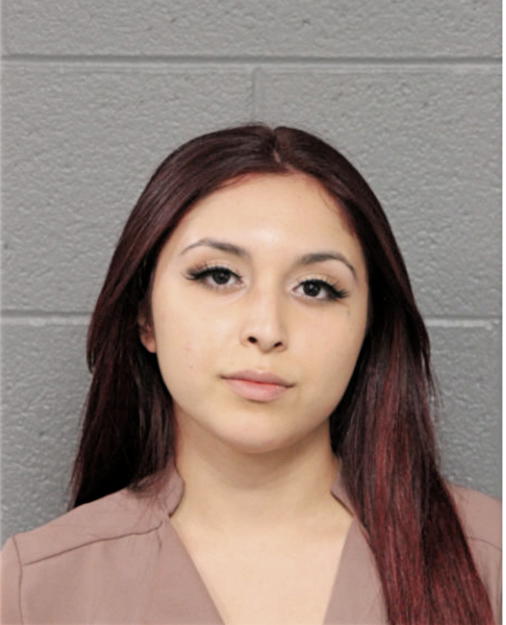 ASHLEY M MAGANA, Cook County, Illinois