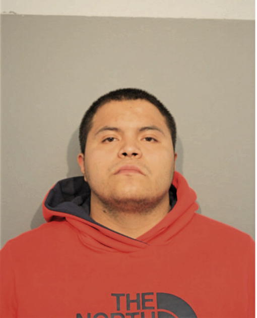 CHRISTIAN ALAIN SANCHEZ PICAZO, Cook County, Illinois