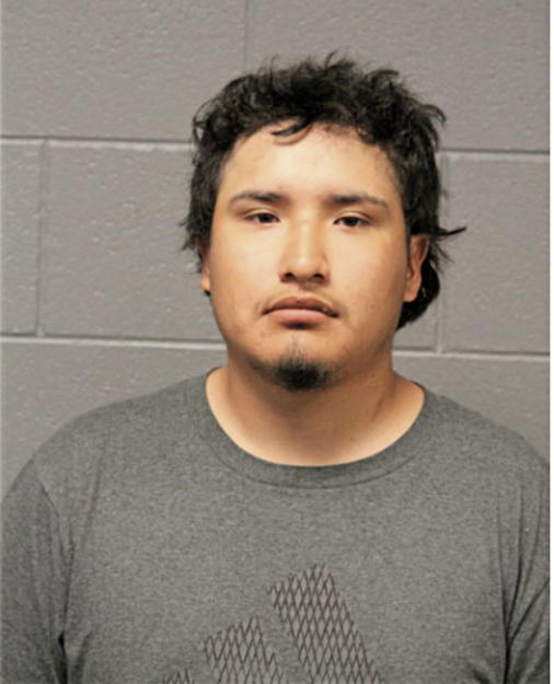 VICTOR M FUENTES, Cook County, Illinois