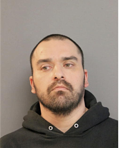 RICKY J GONZALEZ, Cook County, Illinois