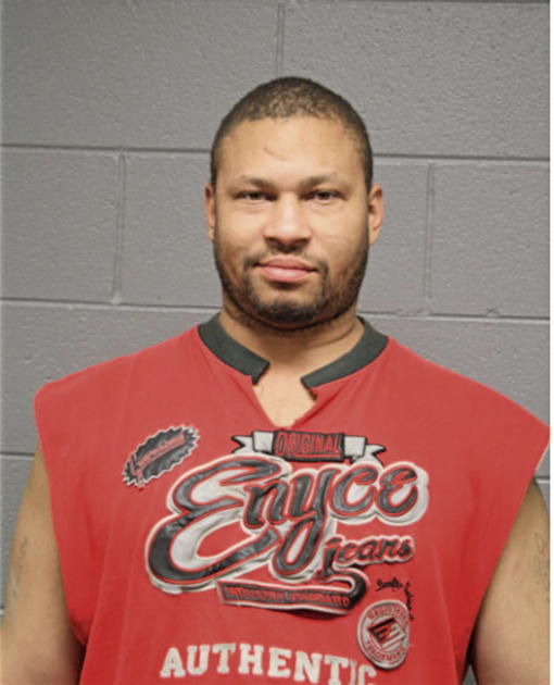 TAMIR L LOFTON, Cook County, Illinois