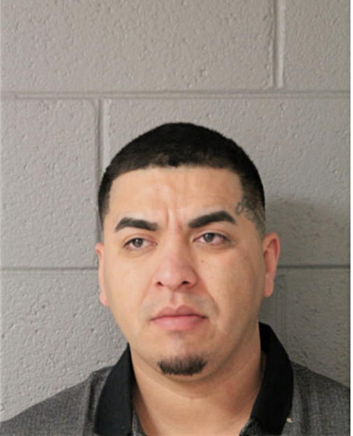 VICTOR FLORES, Cook County, Illinois