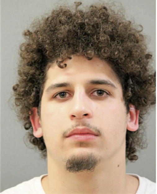 SEBASTIAN NAVARRO, Cook County, Illinois