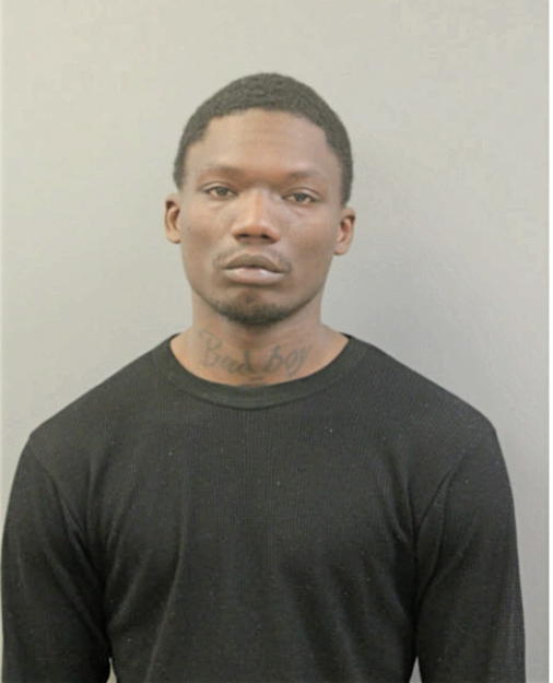 TERRENCE ANTHONY BROWN, Cook County, Illinois