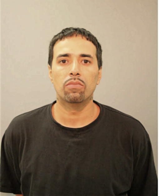 OMAR T FELICIANO, Cook County, Illinois