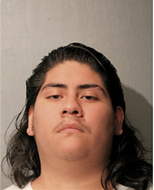 MARK A ORTEGA, Cook County, Illinois