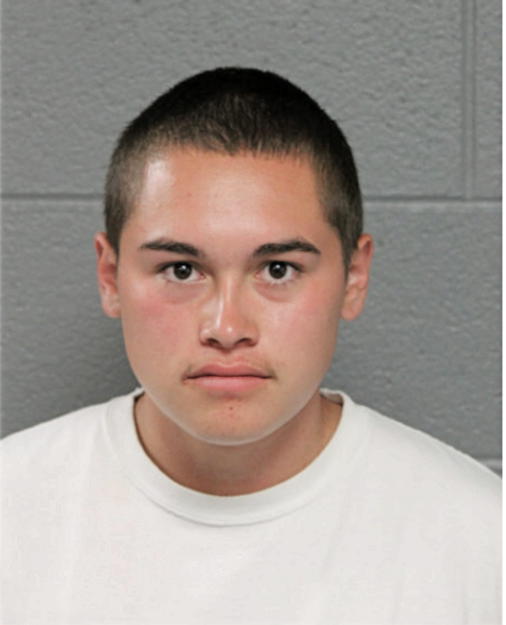 OMAR HERNANDEZ, Cook County, Illinois