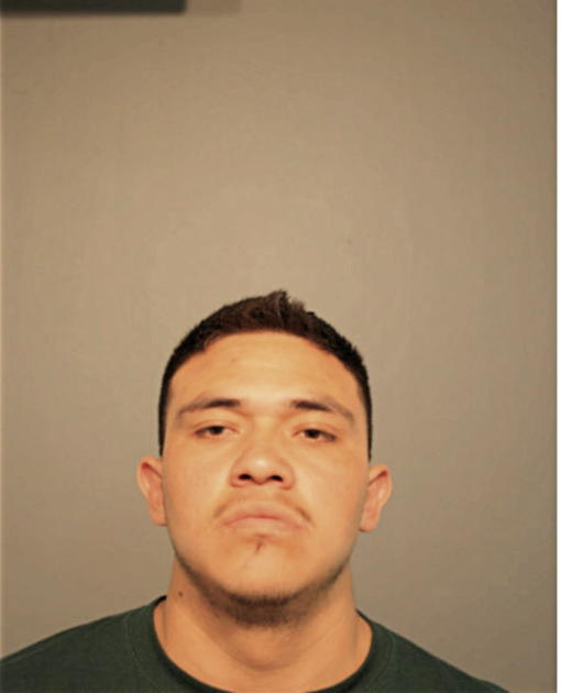 ANDRES A SALINAS, Cook County, Illinois