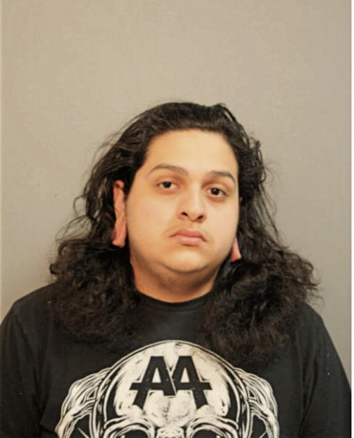 DIEGO G RODRIGUEZ, Cook County, Illinois