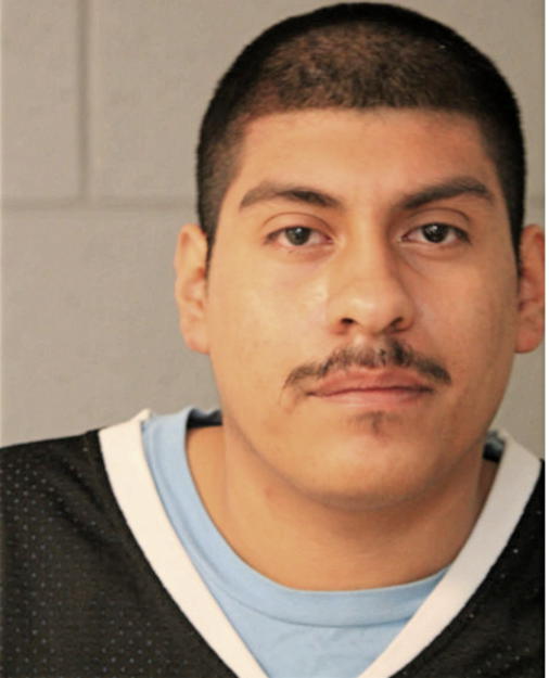 JESUS ORTEGA, Cook County, Illinois