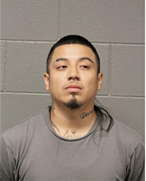 BRIAN S ENRIQUEZ, Cook County, Illinois