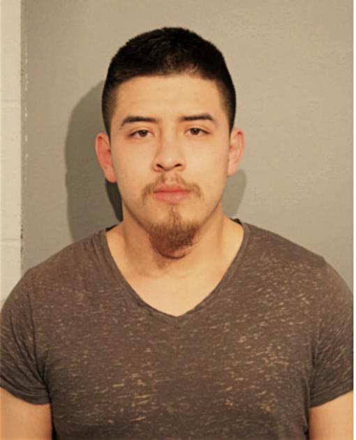 ANDRE F SANDOVAL, Cook County, Illinois