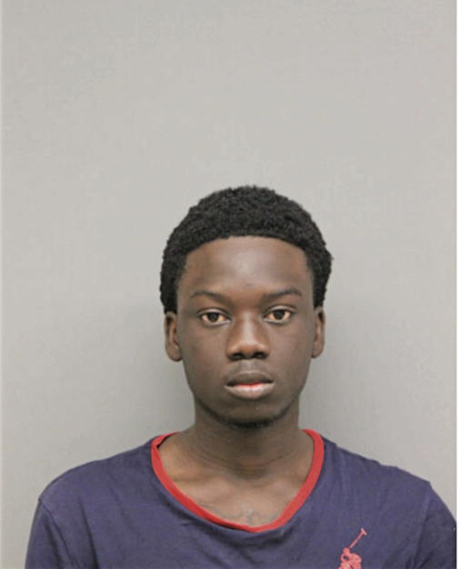 MANKHTAR DIOP, Cook County, Illinois