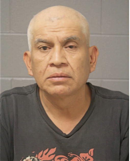 GUIERMO DELGADO, Cook County, Illinois