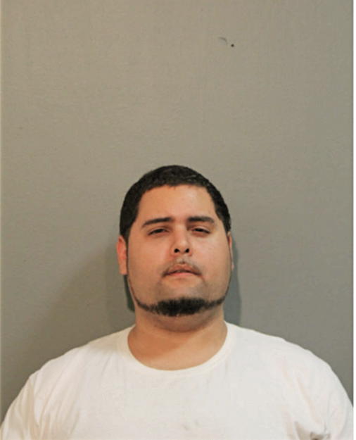 RAFAEL O MARTINEZ, Cook County, Illinois