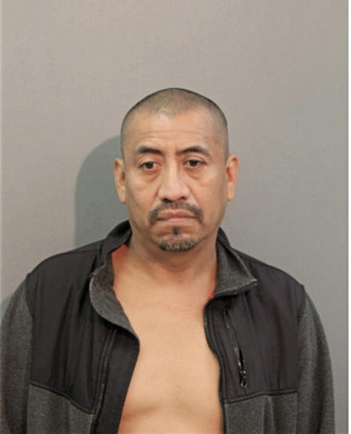 MANUEL PINEDA-CRUZ, Cook County, Illinois