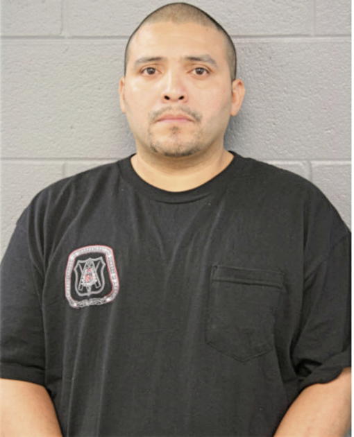 RAFAEL MENDIOLA, Cook County, Illinois