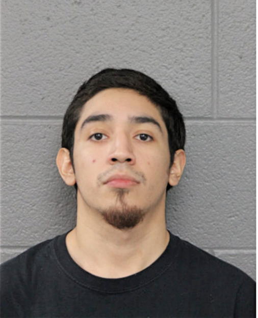 MIGUEL A TORRES, Cook County, Illinois