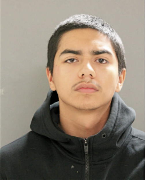 JAMES M HERNANDEZ, Cook County, Illinois