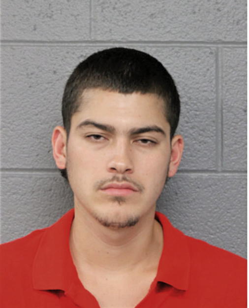 RAY CUEVAS-SALDANA, Cook County, Illinois