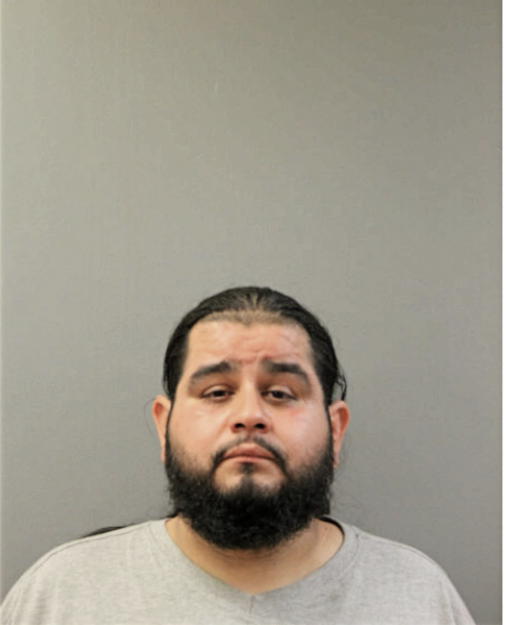 LUIS A HERNANDEZ, Cook County, Illinois
